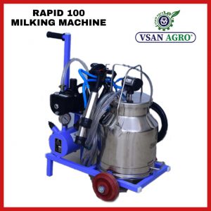 rapid 100